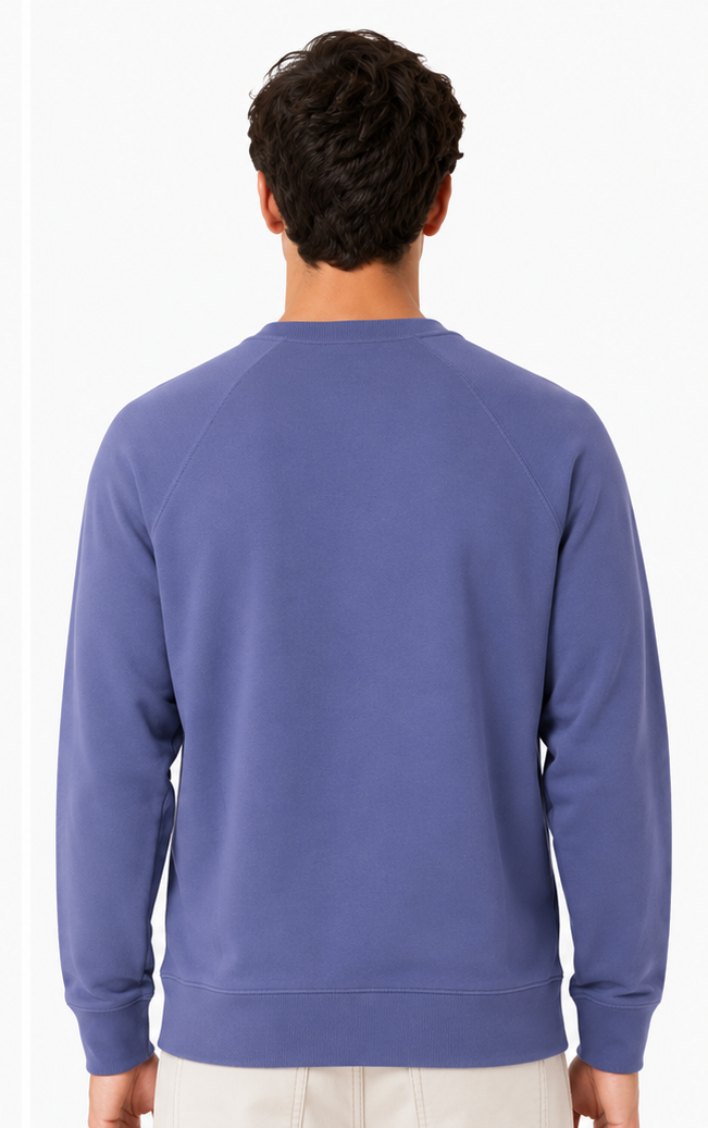 Fabricos Solid Crew Neck Men's Sweatshirt
