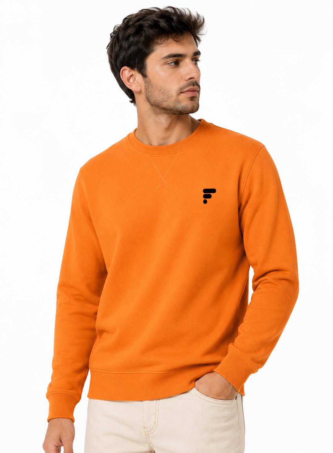 Fabricos Crew Neck Men's Sweatshirt