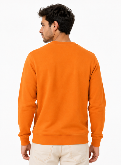 Fabricos Crew Neck Men's Sweatshirt
